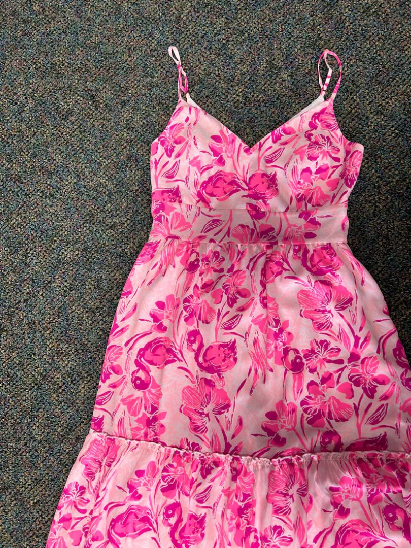 Lilly Pulitzer Women Size 0 Dress
