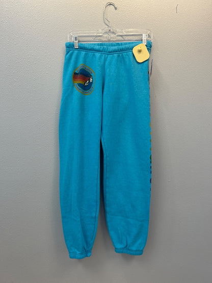 Aviator Nation M Blue pull on jogger w/ surf logo on hip