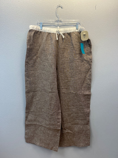 Lintico XXL Brown linen slip on wide leg w/ WTE waistband NWT