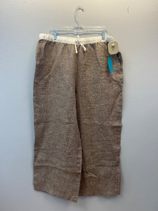 Lintico XXL Brown linen slip on wide leg w/ WTE waistband NWT